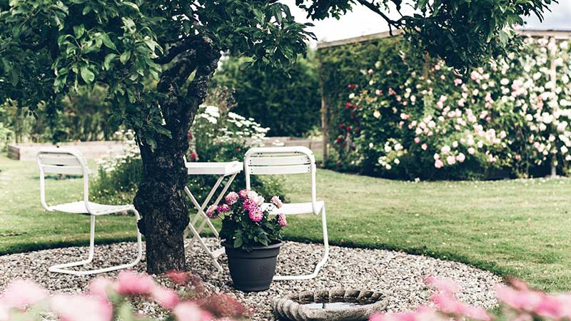 Mysig trädgård med träd och blommor i Kärleken